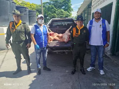En operativo contra el abigeato fueron incautados 500 kilogramos de carne de cerdo