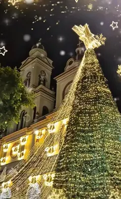 FESTIVAL NAVIDEÑO “EL ESPINAL CRECE” REGLAMENTO DE PARTICIPACIÓN CUADRA NAVIDEÑA 2025